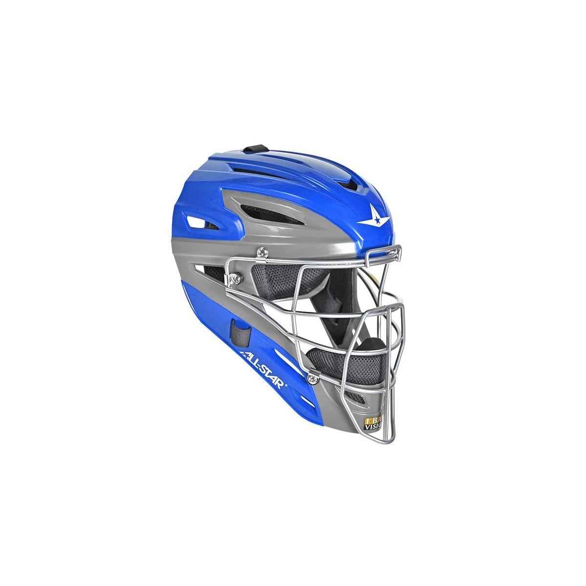 Baseball & Softball Protective Gear